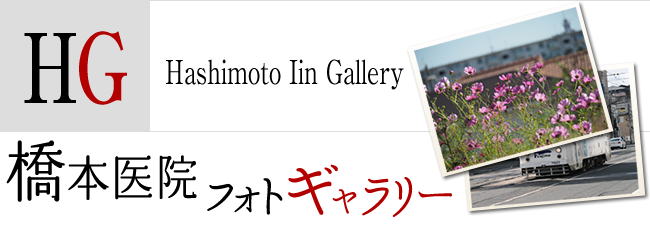 橋本医院フォトギャラリー Hashimoto Iin Gallery